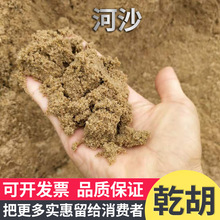 河沙/散装中粗沙/砌墙粉墙专用沙/上海码头水泥黄沙直销/