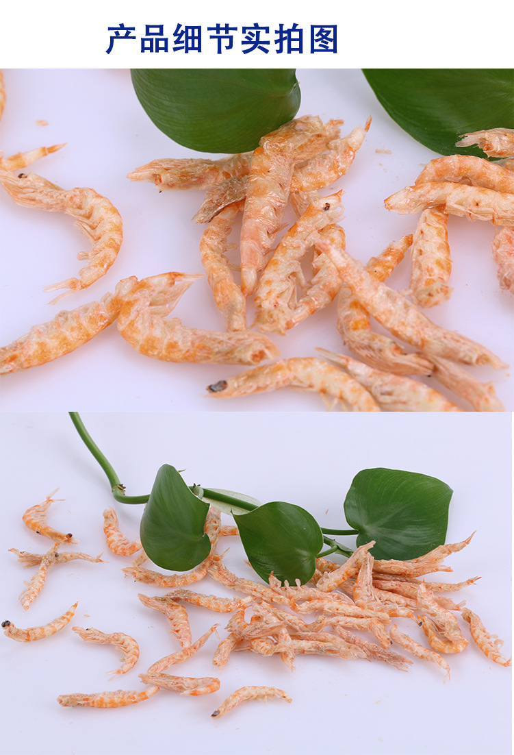 南极磷虾889988_09