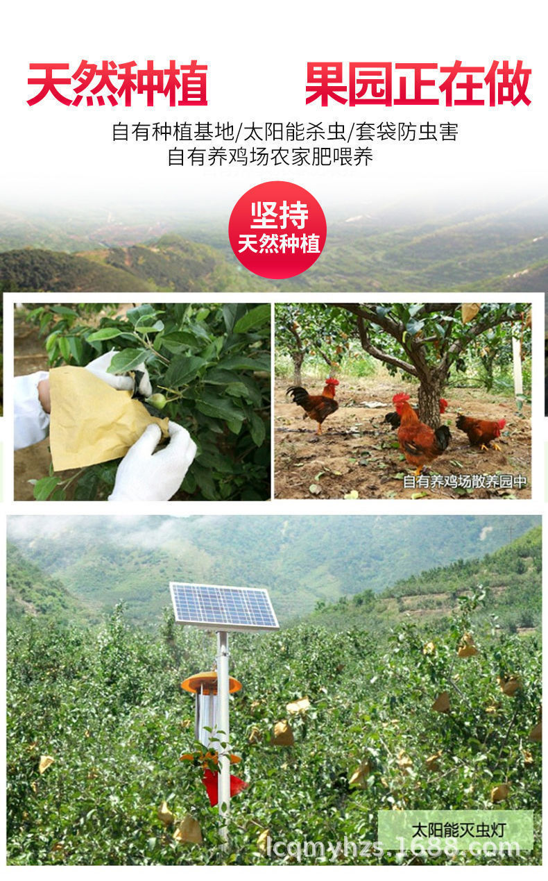 6568870a3a60539a440bb8fc3f06e6