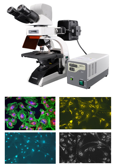 XSP-02三目倒置反射型金相显微镜，材料显微镜
