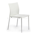 厂家供应东莞塑料椅 休闲餐厅常用钢塑椅子 现代时尚风格塑胶椅子