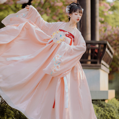 Pink hanfu fairy dress for women student photos shooting gown ancient traditional Tang Han Ming Wei folk costumes embroidery large-sleeved shirt