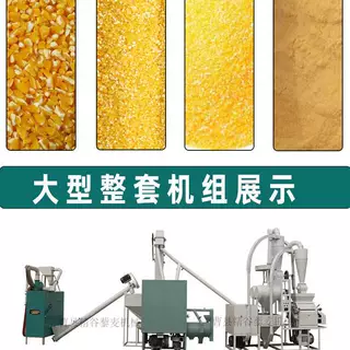 山东菏泽全自动玉米打糁机玉米子打碴机