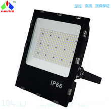 �����ˮ�������߽���� LEDͶ�ⷺ��� 200W300W��Դ���Sֱ��