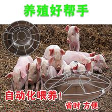 仔猪小猪料槽食槽保育猪补料槽教槽料猪用圆形喂料槽喂猪养猪设备