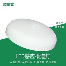 LED红外线人体感应声光控楼道灯走廊过道车库感应灯声光控吸顶灯