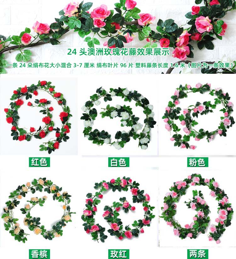 新24头澳洲玫瑰藤条新