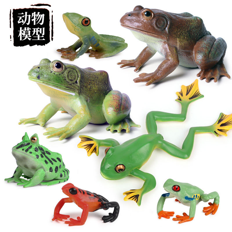 青蛙模型
