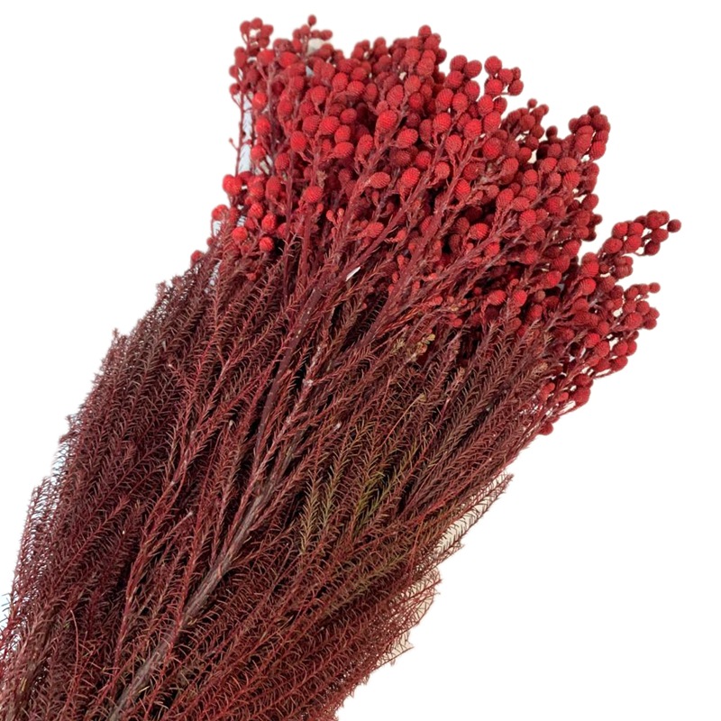 微信图片_20200323224639