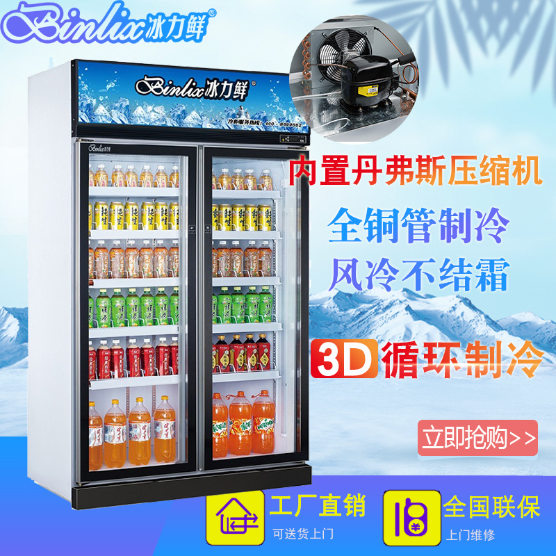 源头工厂冰力鲜超市两门饮料柜水果保鲜柜冷冻柜 便利店饮料柜