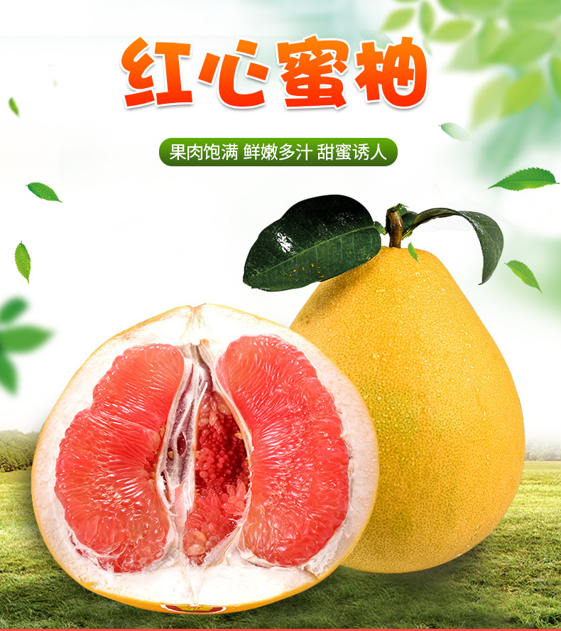红心蜜柚_01.jpg