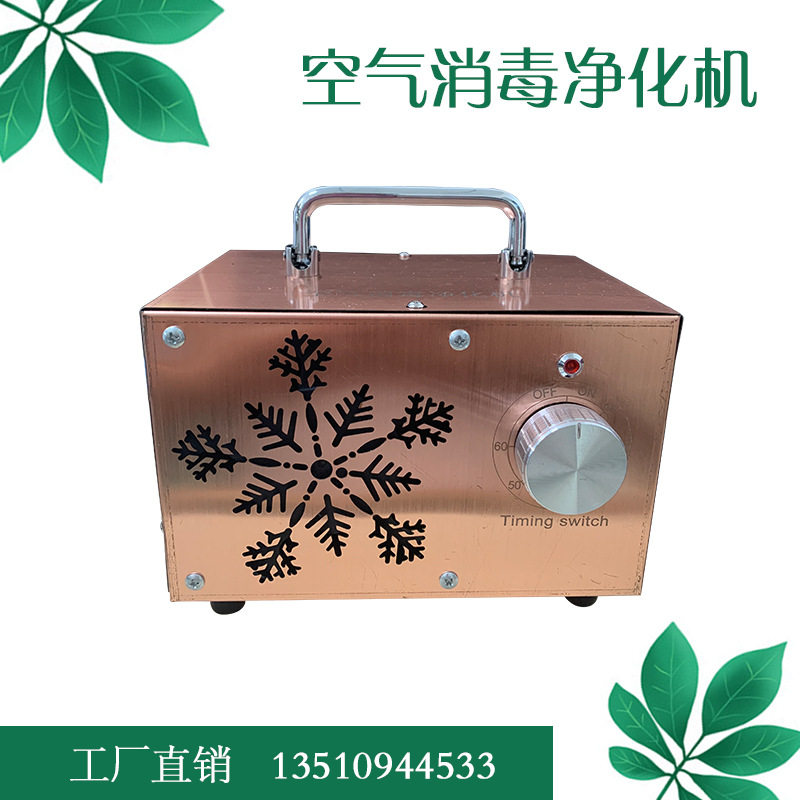 空氣消毒機手提式臭氧消毒汽車寫字樓裝修家用臭氧發生器殺菌消毒