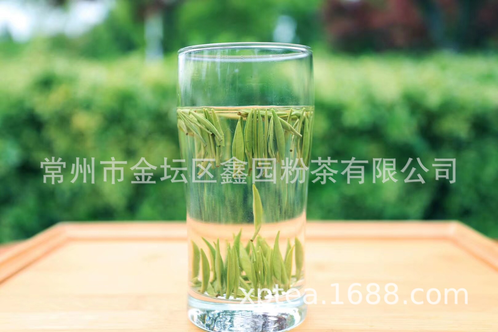 鑫园 黄金茶香螺煎茶白茶