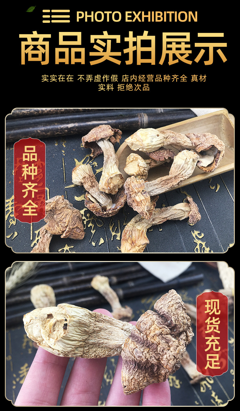 Dried Agaricus Blazei Mushrooms Ji Song Rong Whole Dried Culinary Mushroom for Soups and Broths in use