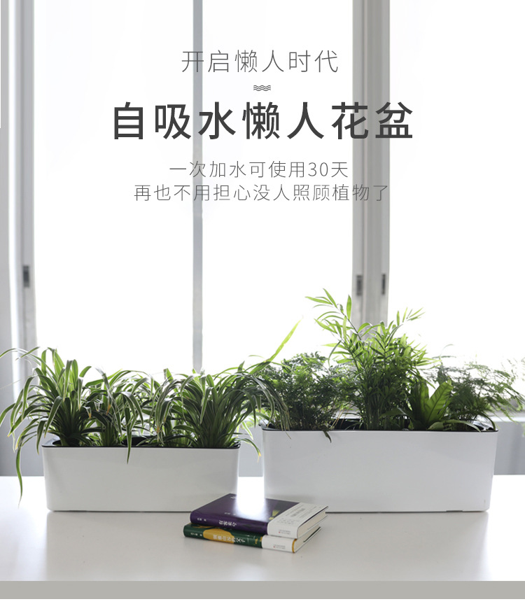 详情页_01.jpg