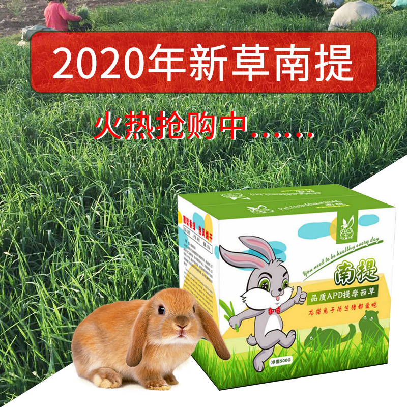 聖源牧場2020全葉南提提摩西草500g/箱兔子龍貓幹草牧草 8箱起批