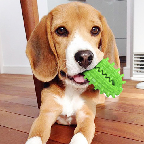 New Amazon Hot Sale Dog Toy Cactus Molar Stick Toothbrush Dog Bite Toy Pet Products Factory