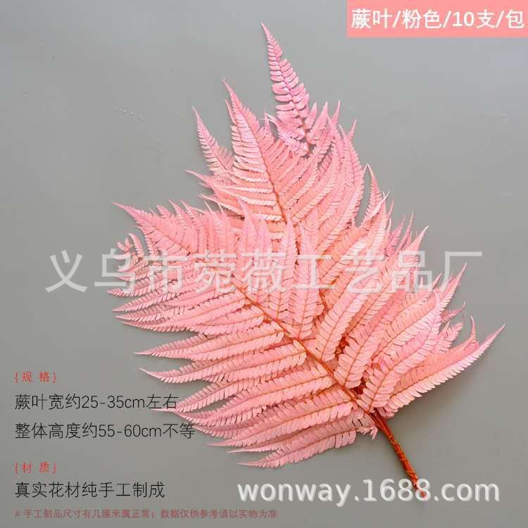 微信图片_20200601160042