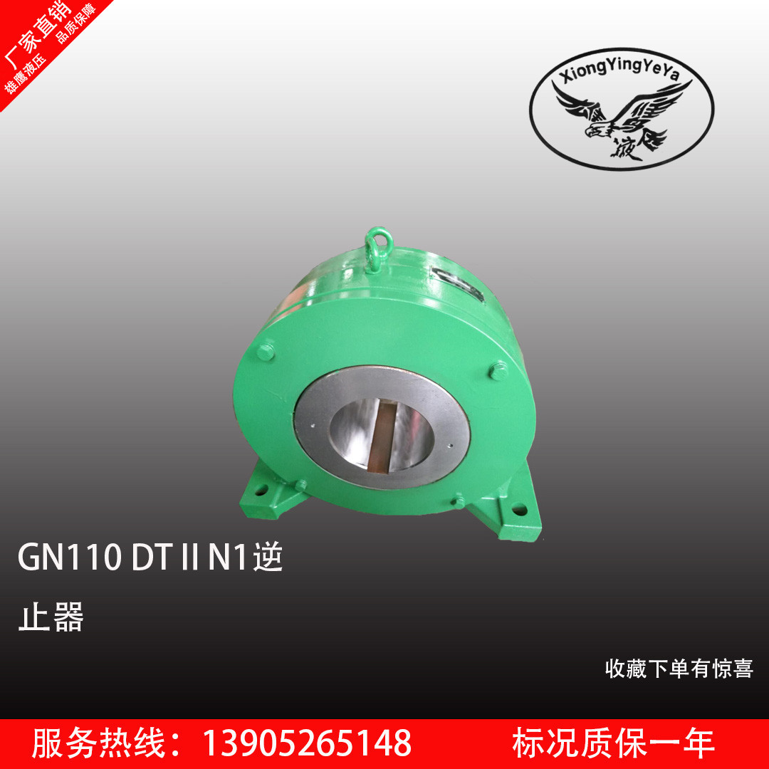 雄鹰减速机GN110  DT2N1逆止器 泰兴液压件厂逆止器 输送设备