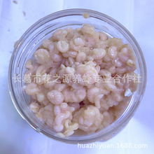 蜂王胎蜂王幼虫 蜂王浆 蜂幼虫 王浆虫 王胎  250g