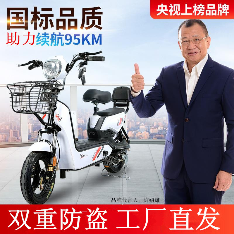 京京新国标金鹰电动车成人两轮电瓶车双人电动自行车新款48v厂家
