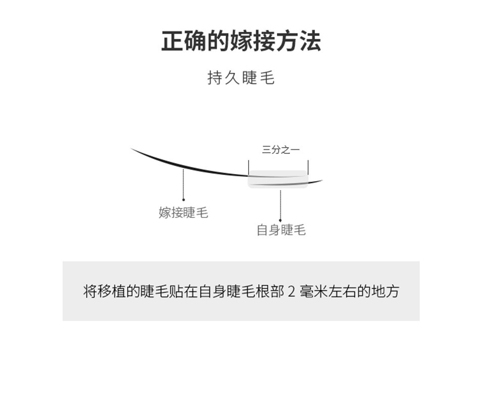 长梗朵毛嫁接睫毛