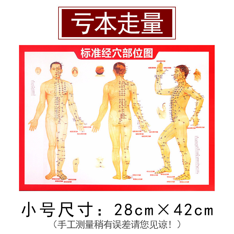 Human Body Meridian Acupoint Chart Double Sided Printed Copperplate Paper for Moxibustion and Massage Reference Medium 280x420mm overview