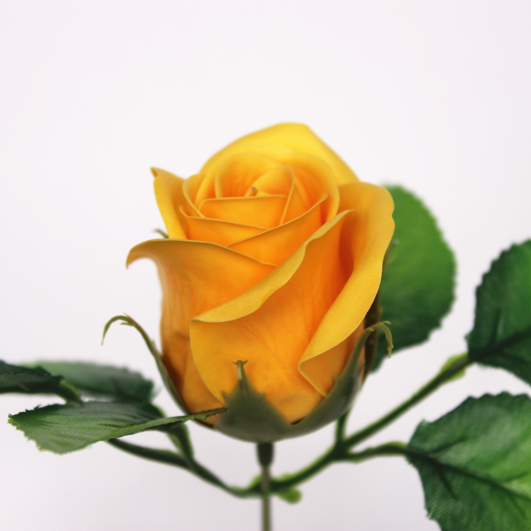 一键复制_20200227134216