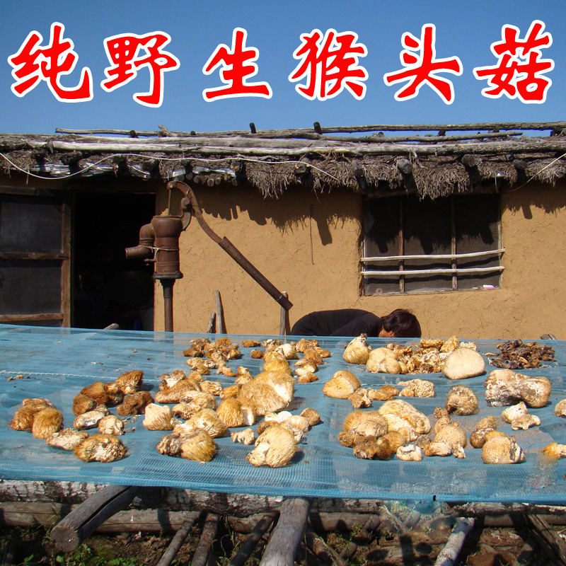 野生猴头菇蘑菇干货新货采山新鲜大兴安岭山货纯野生250g批发包邮