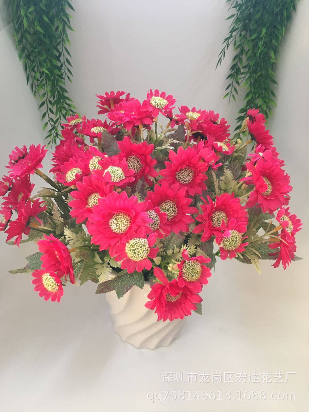 5头10朵路边菊 (5)