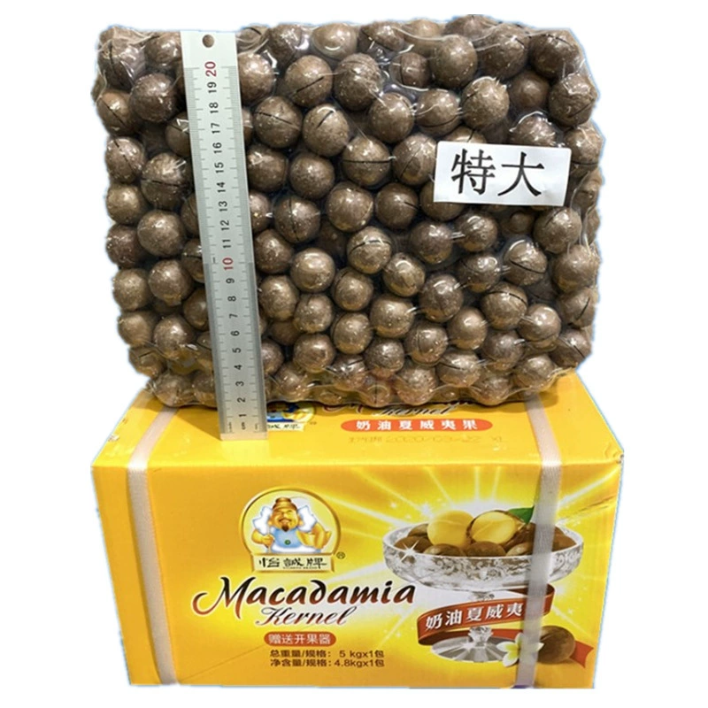 Гавайские орехи 10 коти оптом макдамия кремовый вкус повседневные снеки сухофрукты товары на Новый год специальный