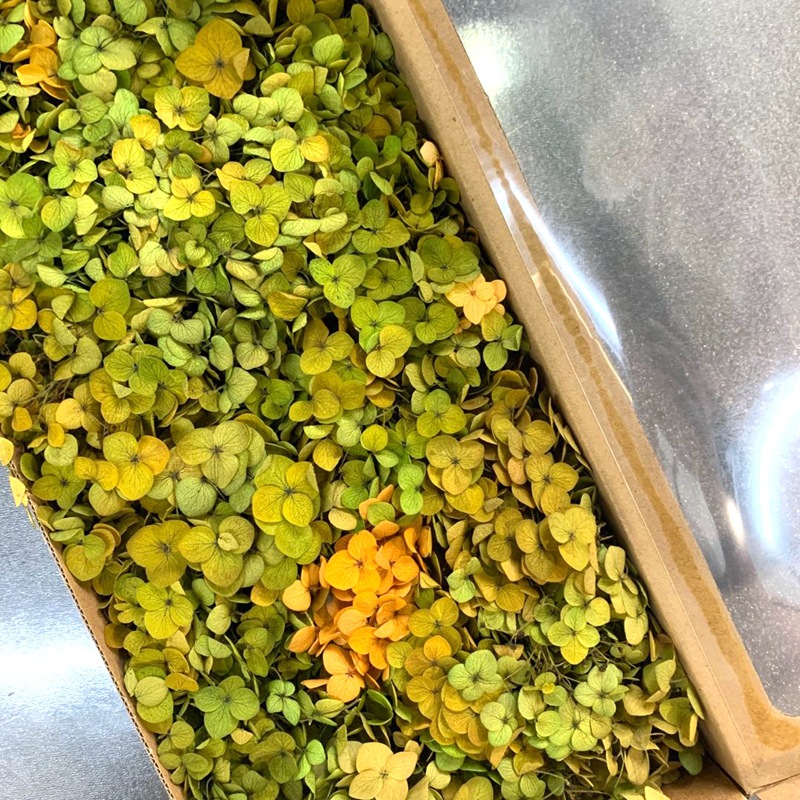 微信图片_20200702163753