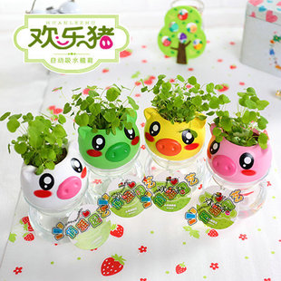 �g���i�i�Ԅ���ˮ�����׃��@С���ф���ֲ�������辰�����޶YƷ