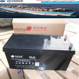 长海斯达蓄电池6-FM200免维护12V200AH直流屏UPS储能EPS备电源铅