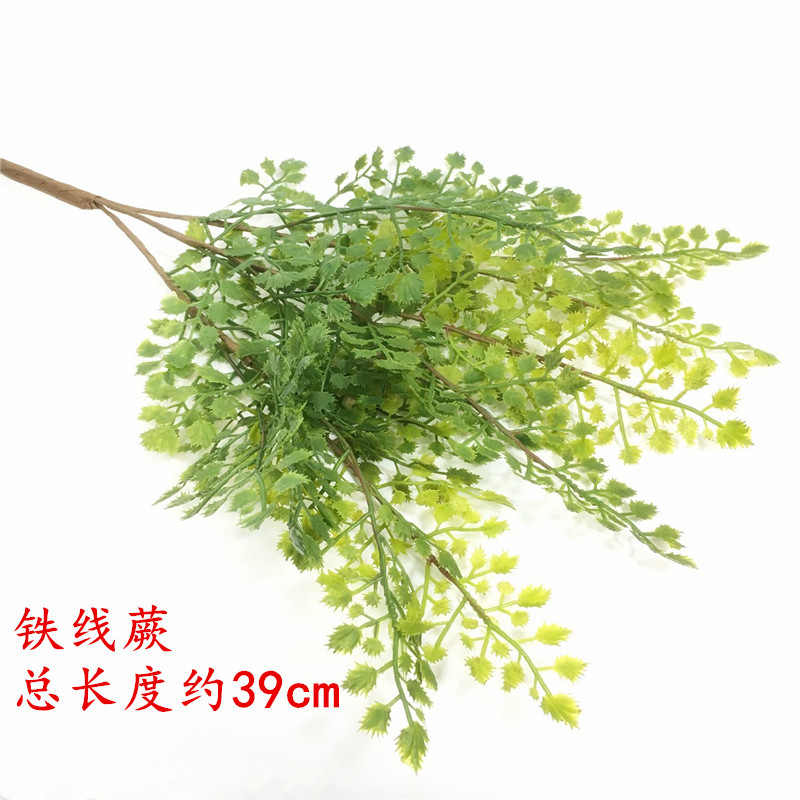 中金鱼草.jpg