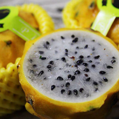 新鲜燕窝果金黄麒麟果黄色黄肉火龙果原箱6-8头黄龙果当季水果|ru