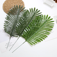 家居裝飾假植物綠植插花葉子婚慶婚禮布置道具單支葵葉仿真散尾葵