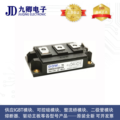 供应IGBT可控硅整流桥熔断器驱动主板模块DAC2F150N6S现货新|ru