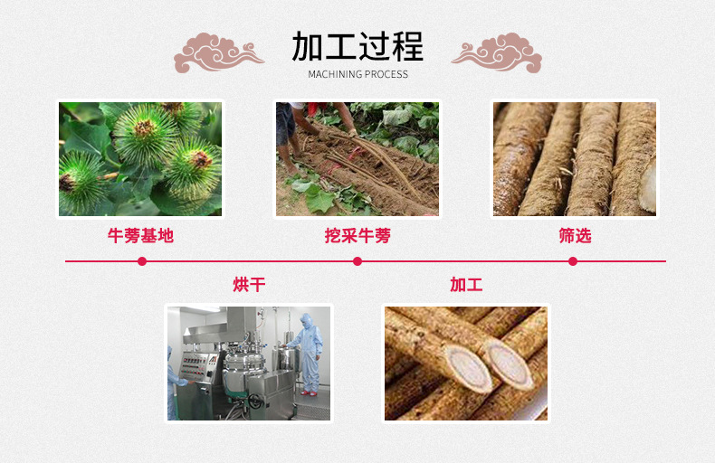 Burdock Root Tea Niu Bang Cha Golden Sliced Arctium lappa Loose Herbal Tea 500g from Shandong details