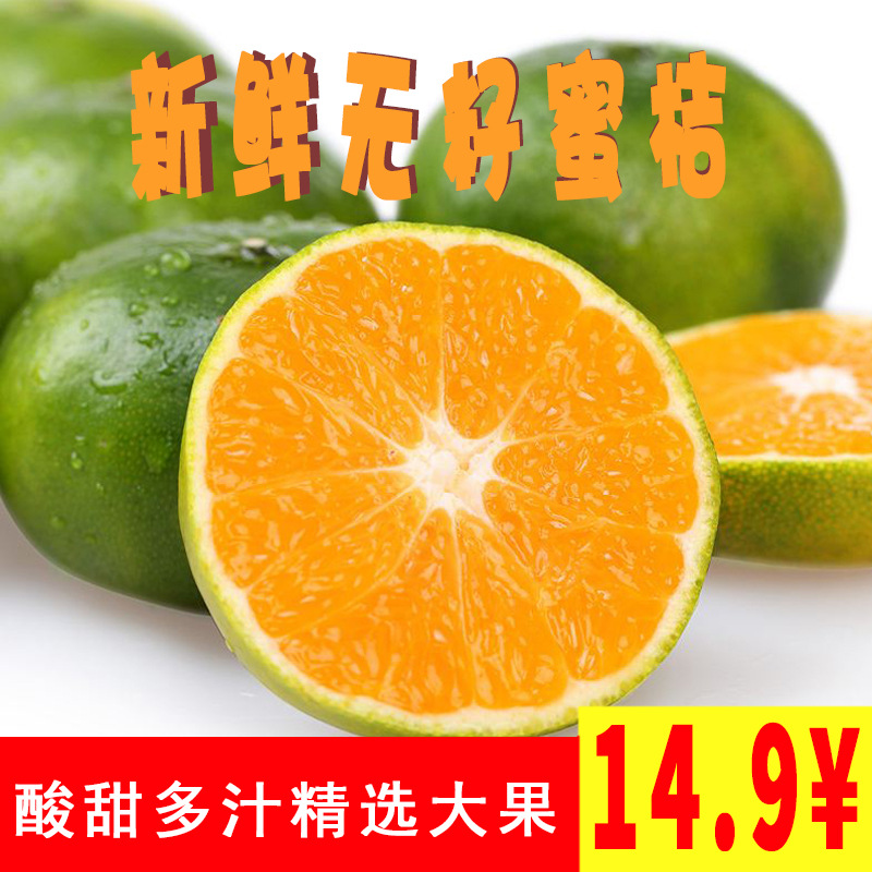 Guangxi Tangerine fresh 10 Season fruit Seedless Peel Tangerine Sweet and sour Now pick Now send