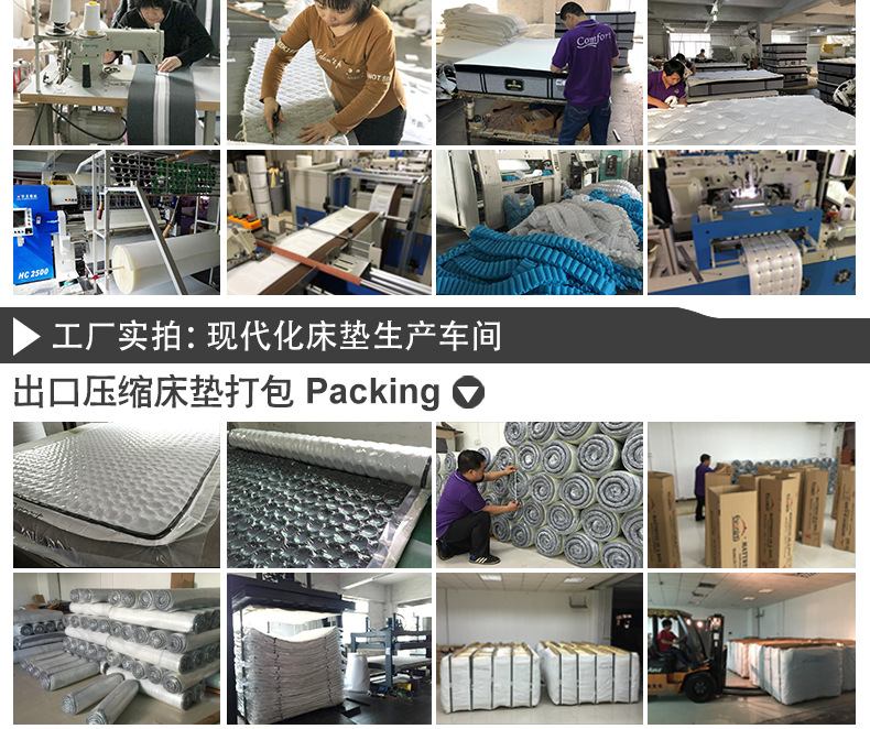 详情页公司介绍_03.jpg