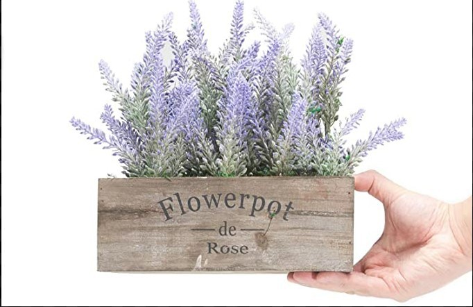 薰衣草木盆展示图