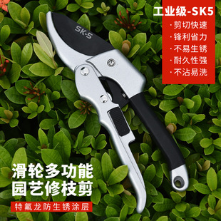 Pruning scissors fruit tree scissors flower scissors gardening scissors floral pruning branch scissors pruning branch scissors pruning coarse branch scissors