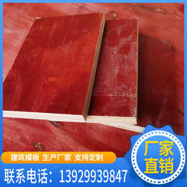 广州 中山厂家直销 中高层建筑模板木板材防水建筑板 批发出售