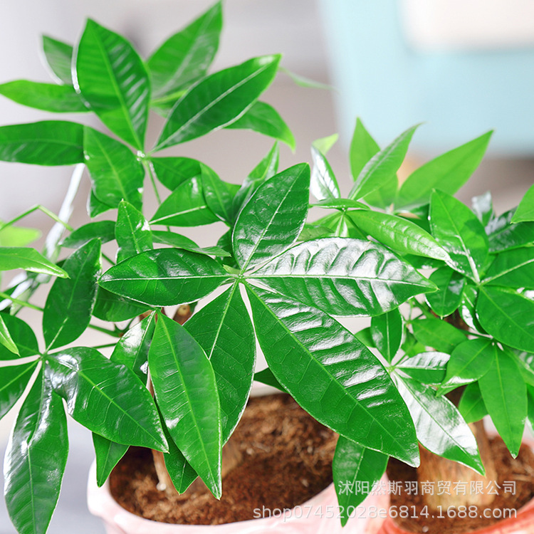 QQͼƬ20200803165846