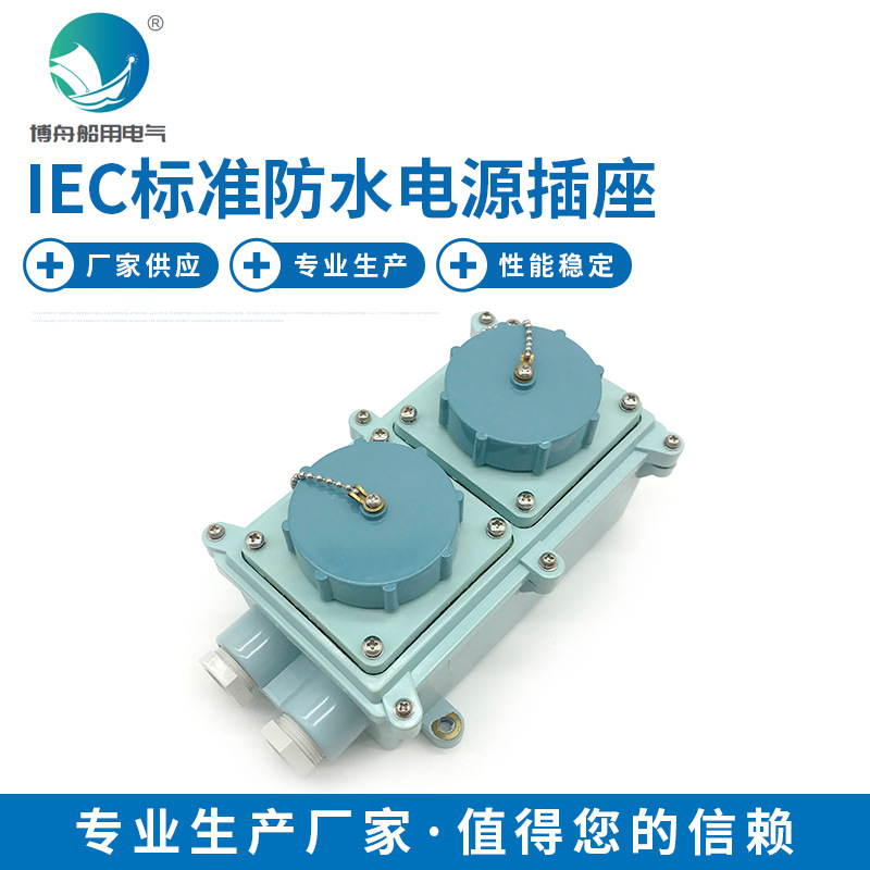 船用工业 船用工业插头 IEC标准双插座 RSIL2-3 蓝792766