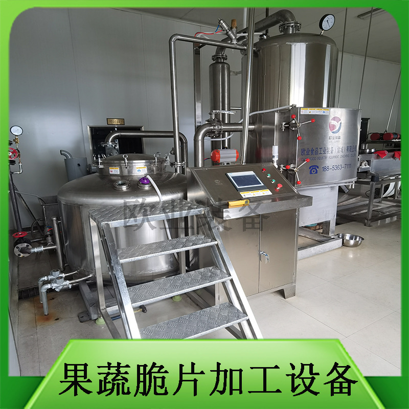 厂家直销 果蔬脆片加工设备 低温真空油炸机 节能 操作简单