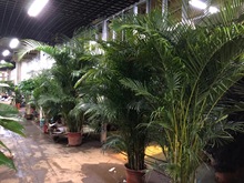 ���������������Uɢβ���Pβ��1.5��1.8��2.5��3.5��ɢβ���l��