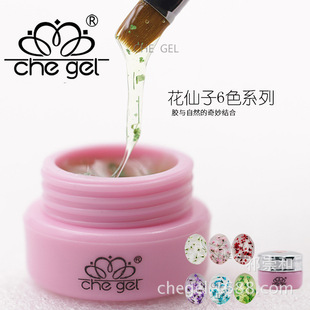 ��Ʒche gel���׿�ж�⯟�z�ɻ������zģ���z������ϵ�й⯟�z6ɫ