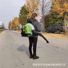 二冲程落叶清理吹叶机 施工路面除尘吹风机 大棚吹雪机